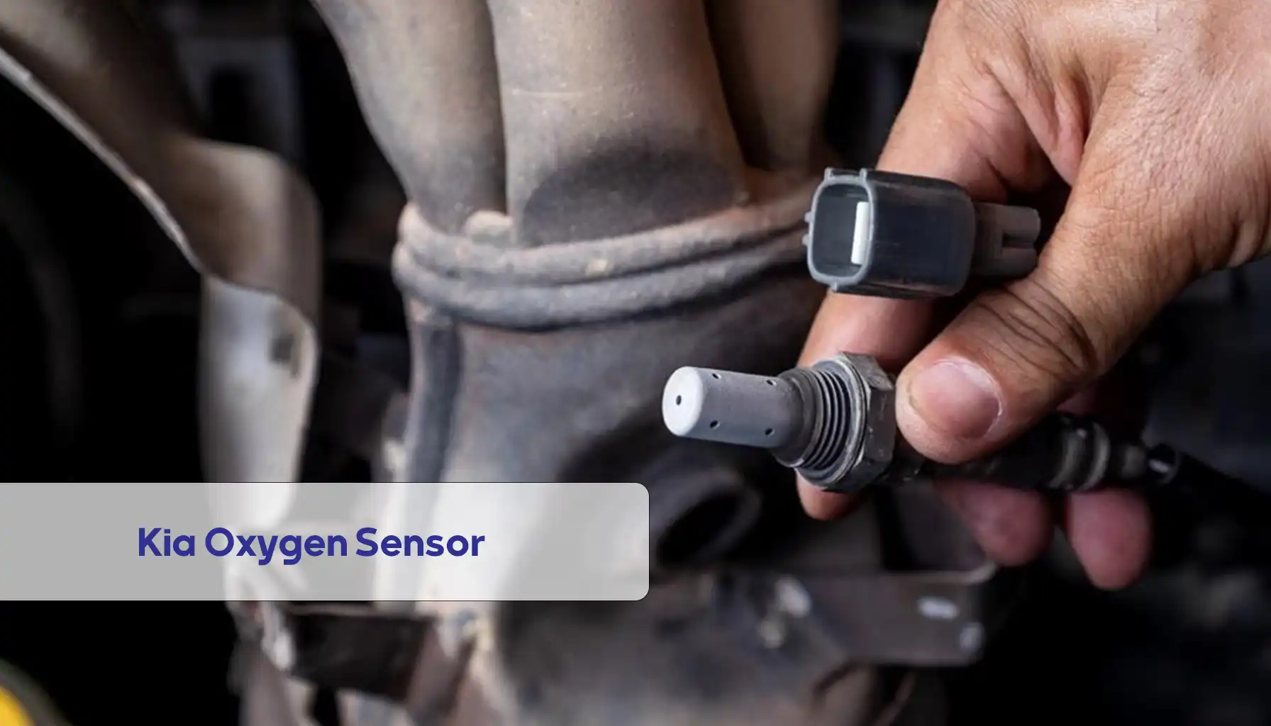 Kia Oxygen Sensor