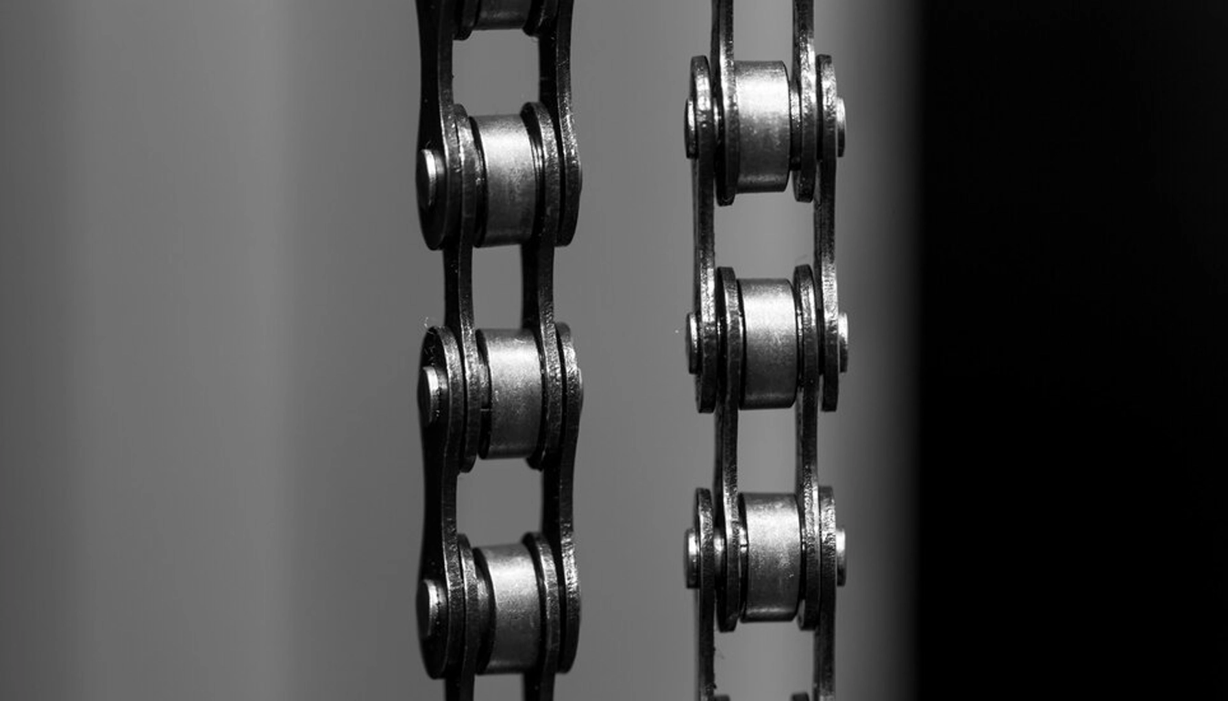 Timing Belt vs Chains