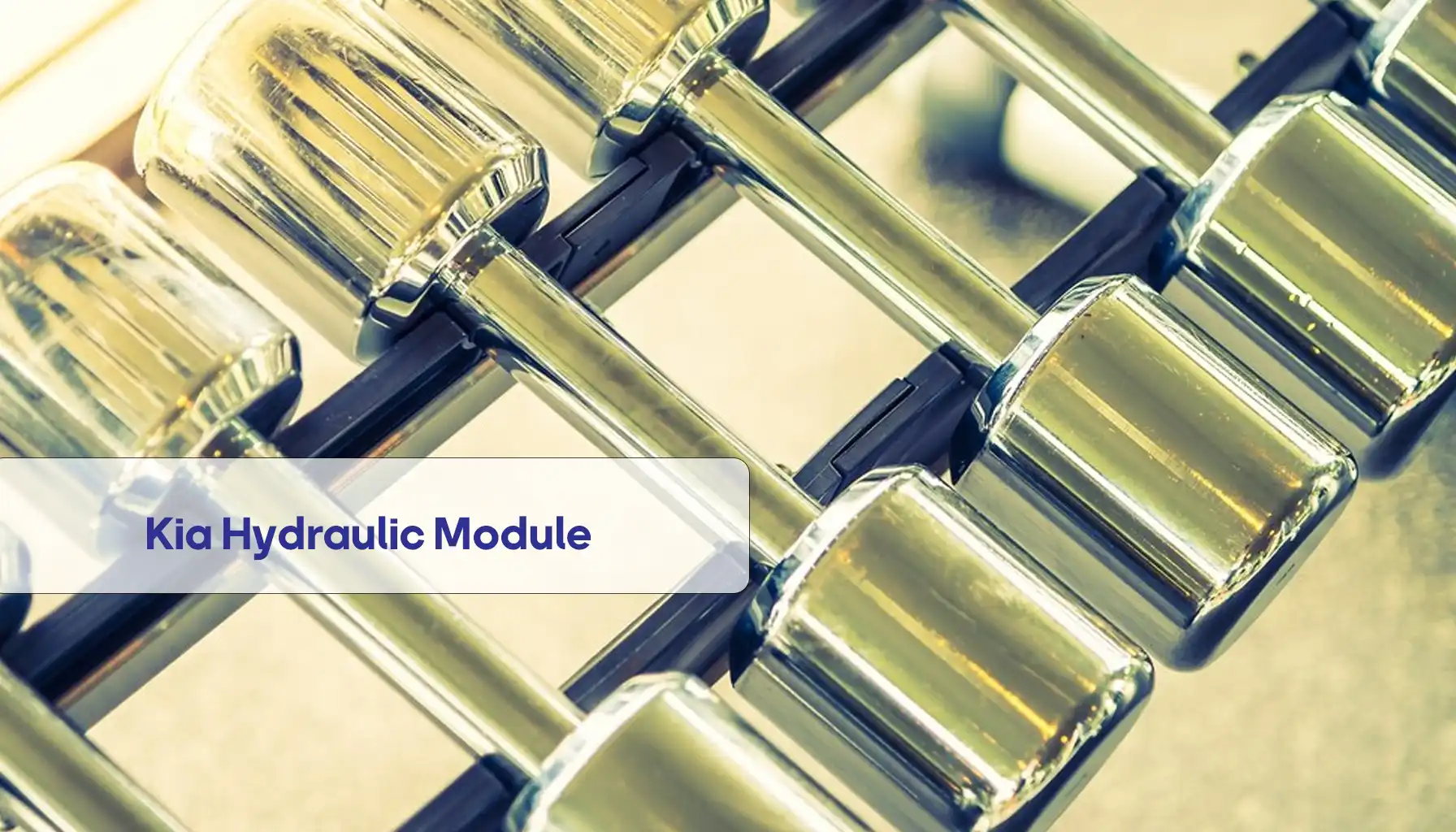 Kia Hydraulic Module