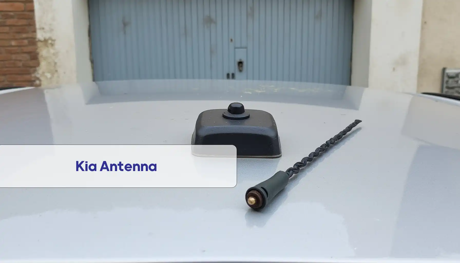 Kia Antenna