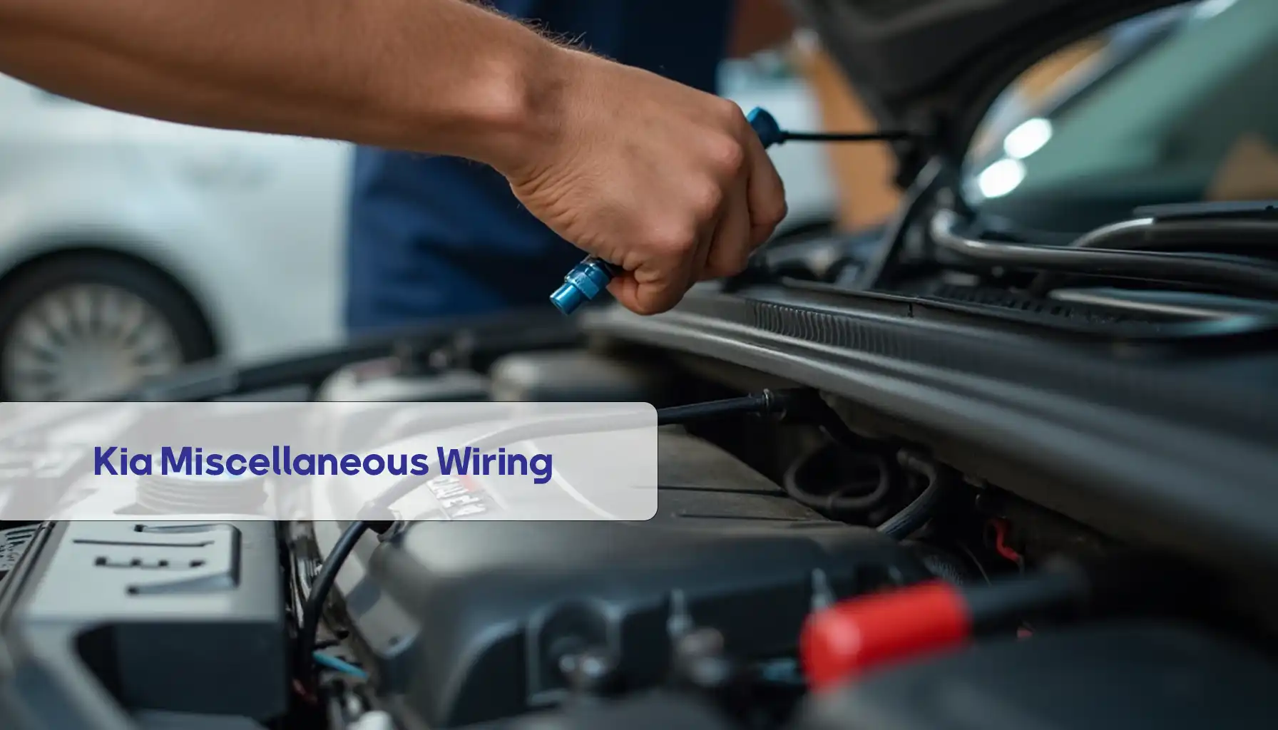 Kia Miscellaneous Wiring